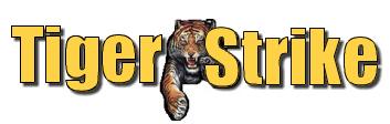 Tigerstrike Martial Arts
